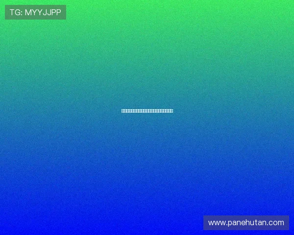 大满贯电脑版官网用户支持与常见问题解答大全